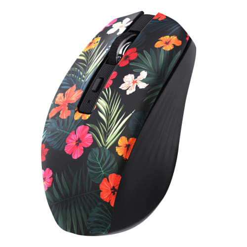 その他 Souris 03303170117996_C1R0_s01_f89366