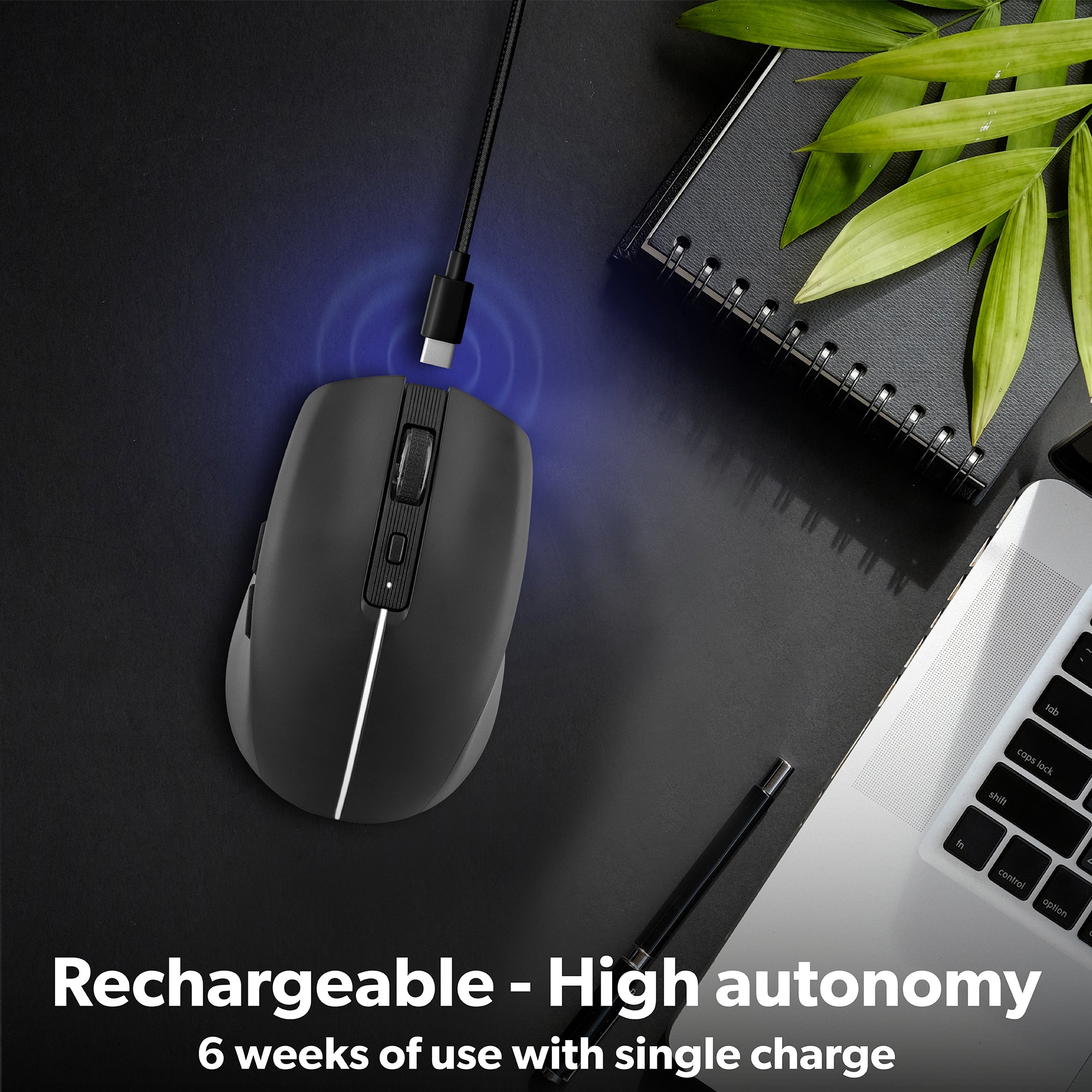 MWGRADIENTBK_arg03_732cfef0-